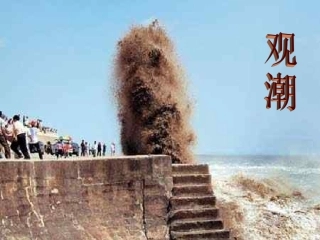 观潮(公开课)正式