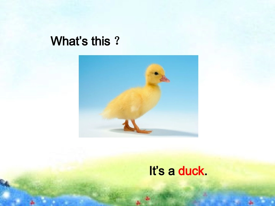 新版PEP小学英语三年级上册Unit-4-We-love-animals课件_第2页