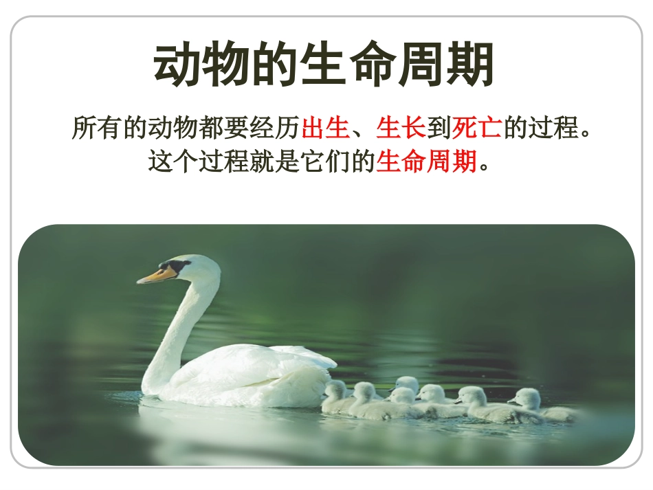最新、蚕卵里孵出的新生命_第1页