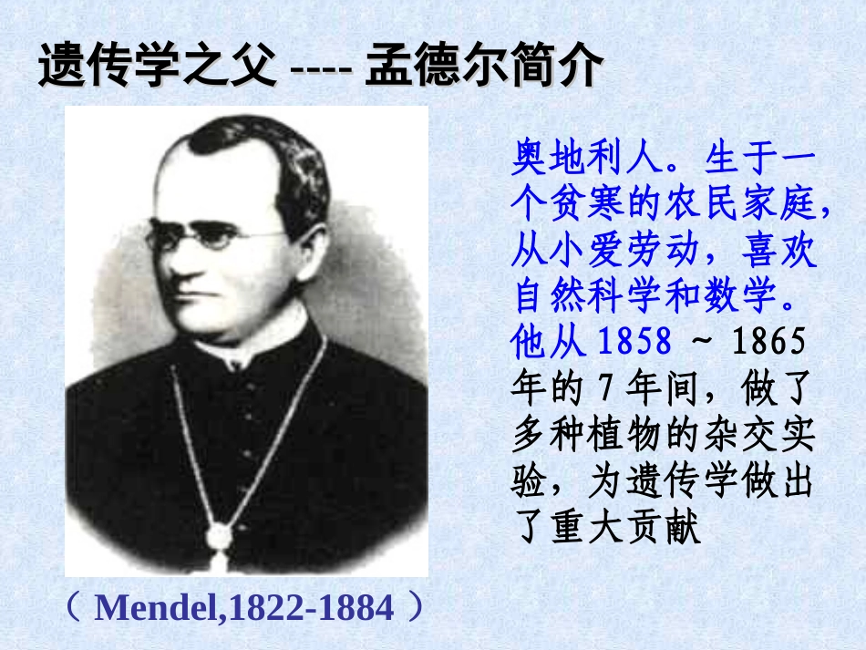 2013新人教版八年级生物下册-第二章-第三节-基因的显性和隐性_第3页