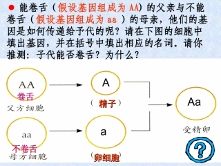 2013新人教版八年级生物下册-第二章-第三节-基因的显性和隐性