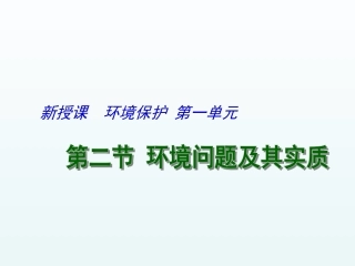 1.2环境问题及其实质-ppt课件-(共19张PPT)-高中地理-选修六-鲁教版