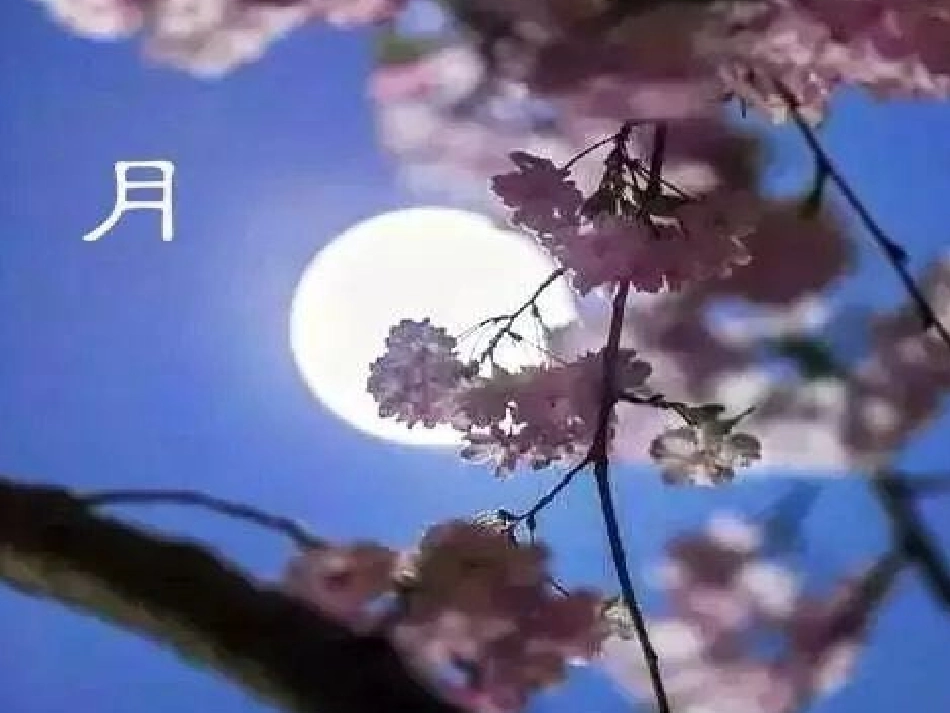 (部编)初中语文人教2011课标版七年级下册今人不见古时月课件_第3页