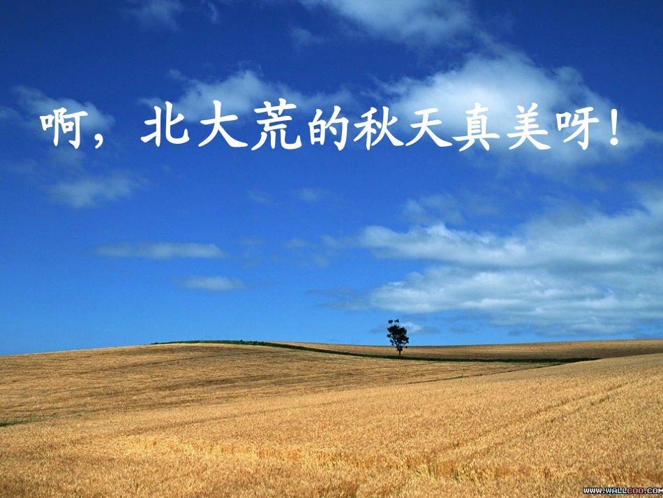 小学三年级上学期语文《北大荒的秋天》课件_第2页