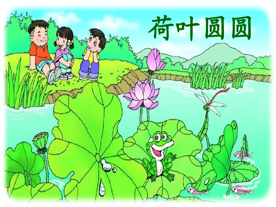 荷叶圆圆课件_第3页