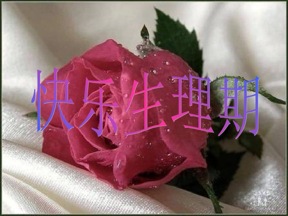 快乐青春期2_第1页
