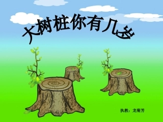 《大树桩你有几岁》课件