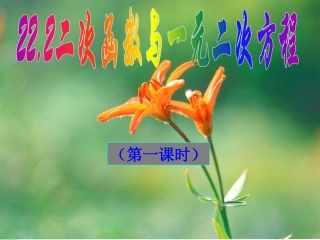 22.2二次函数与一元二次方程(1和2)