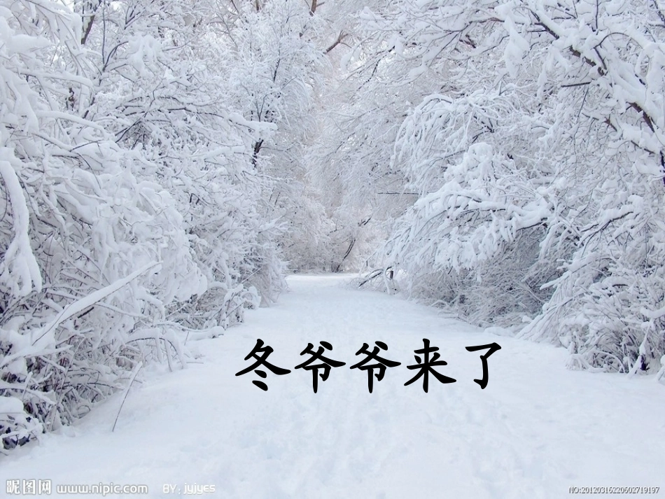 冬爷爷来了课件_第3页