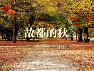 《故都的秋》课件