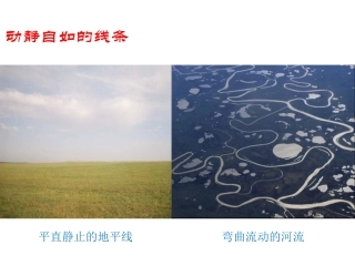 动静自如的线条