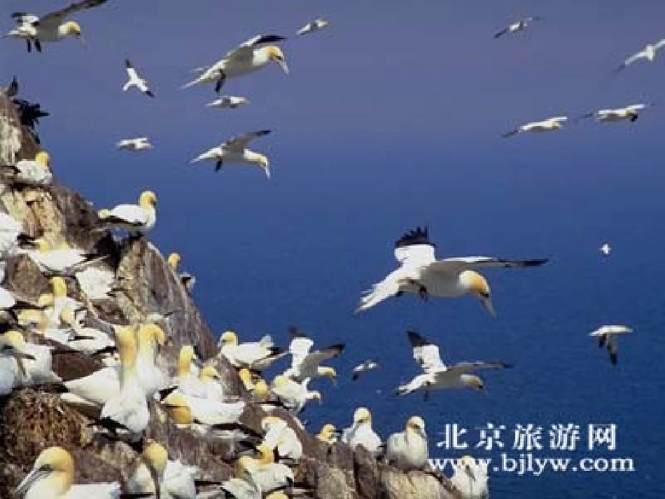 富饶的西沙群岛_第3页