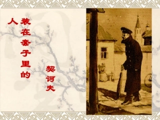装在套子里的人 (2)