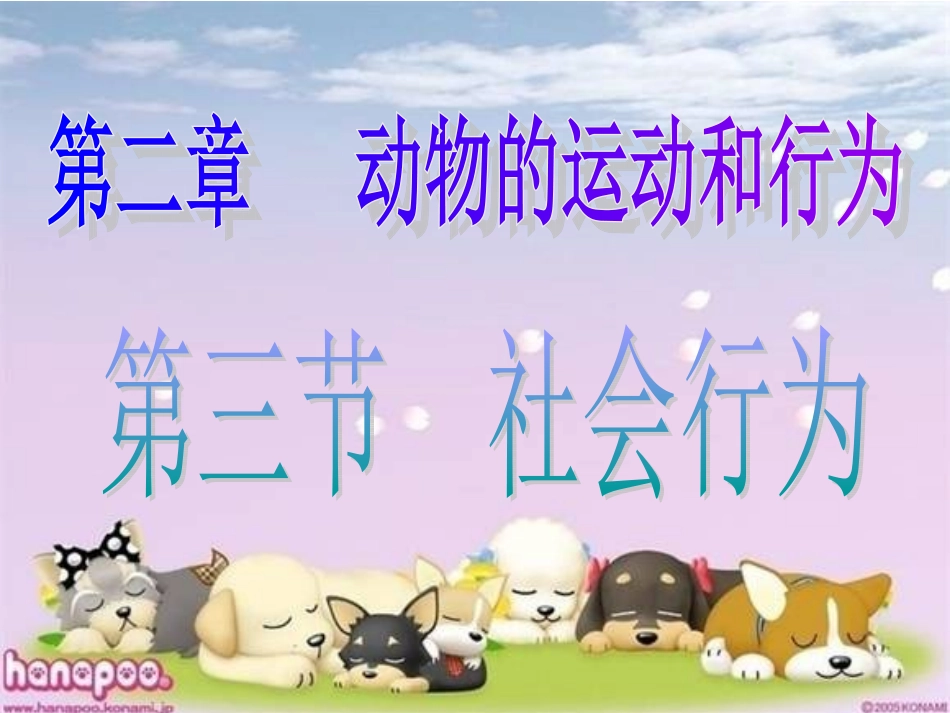 八年级生物上册生物第二章第三节社会行为课件人教版_第1页