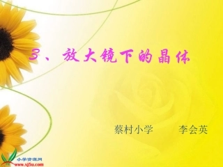 放大镜下的晶体[1]