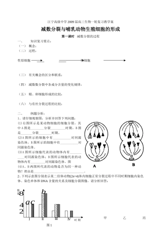生物一轮复习教学案减数分裂与哺乳动物生殖细胞的形成