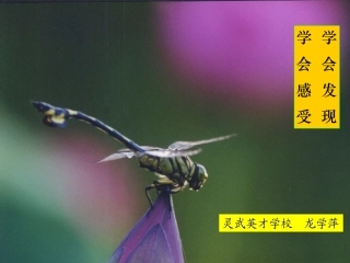 西湖游记二则1