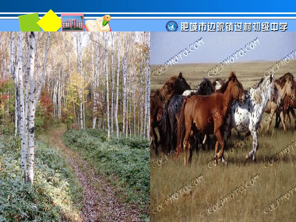 (部编)初中语文人教2011课标版七年级下册《土地的誓言》课件-(2)_第2页