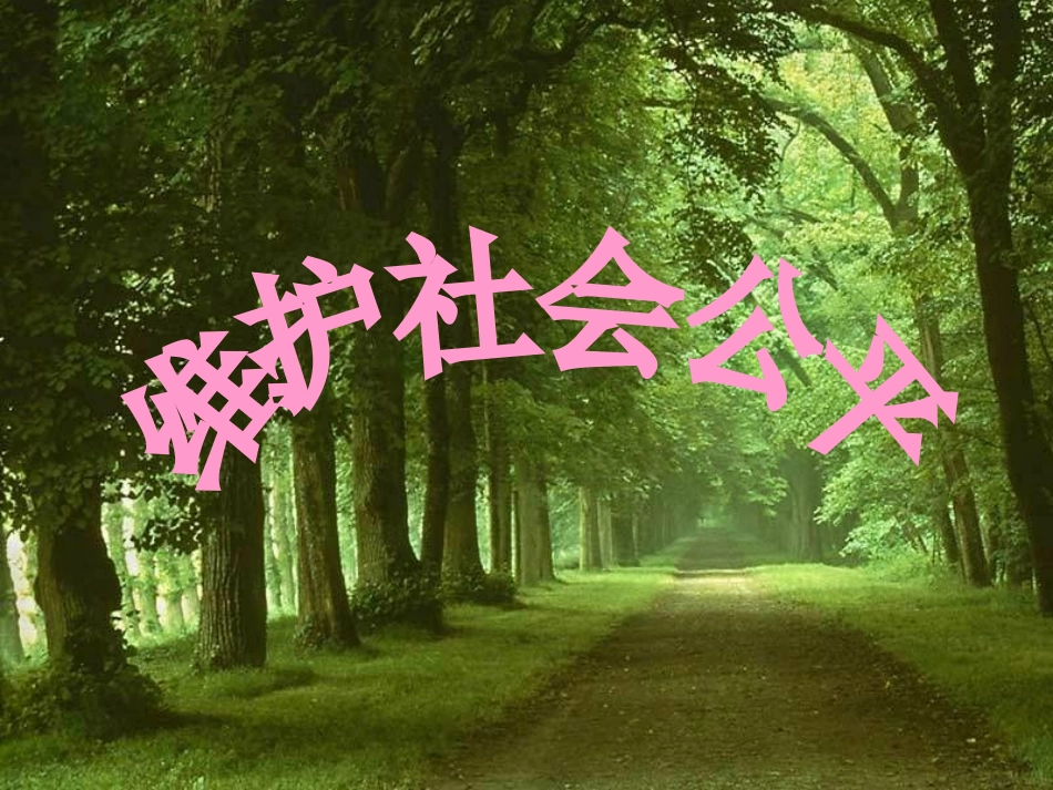 维护社会公平A_第2页