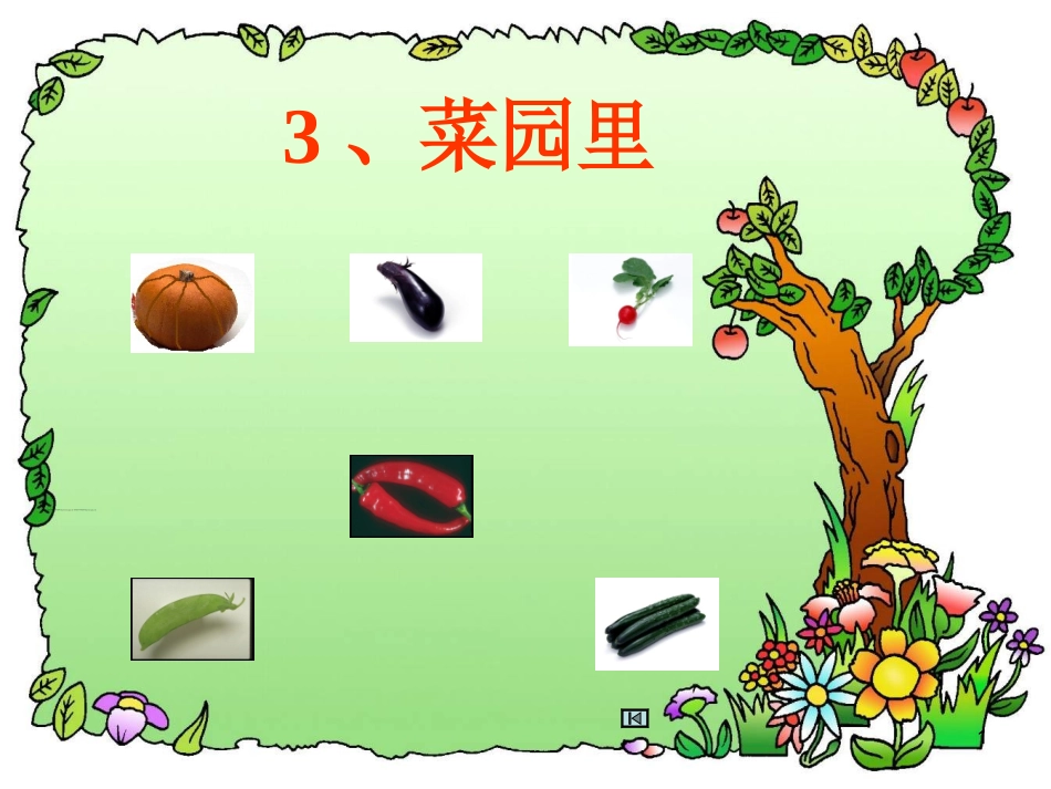 《菜园里》课件4_第1页