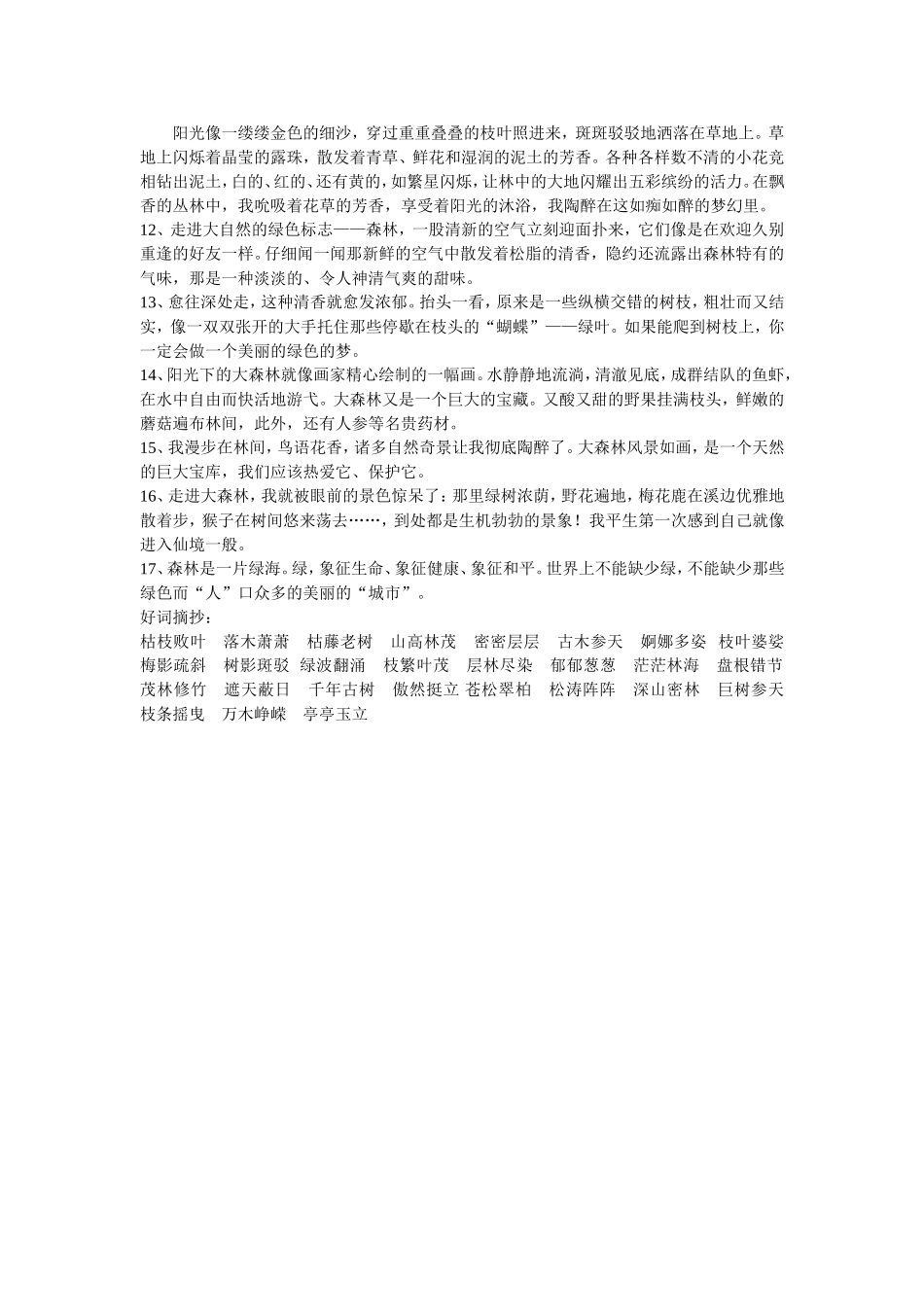 描写森林的好词好句_第2页