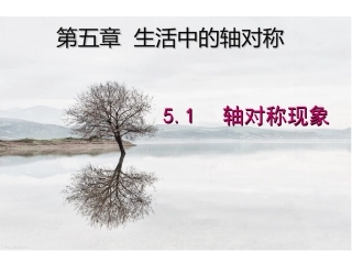 5.1轴对称现象.1轴对称现象-(5)