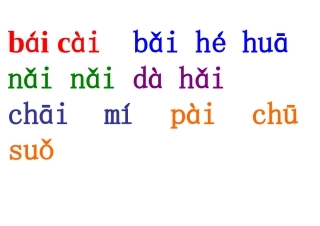 bái-cài--bǎi-hé-huā