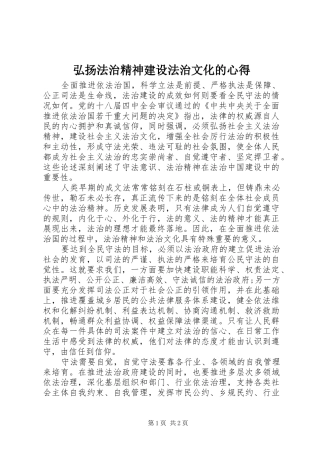 弘扬法治精神建设法治文化的心得