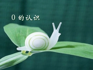 《0的认识2-》--课件