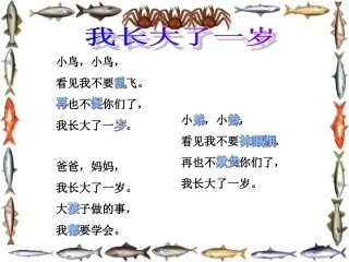 《我长大了一岁》课件