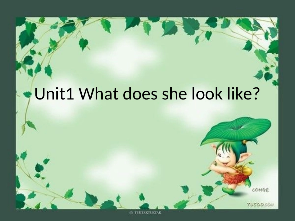 Unit1Whatdoesshelooklike_第1页
