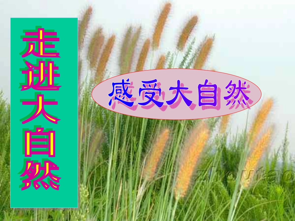 《综合性学习·感受自然》_第3页