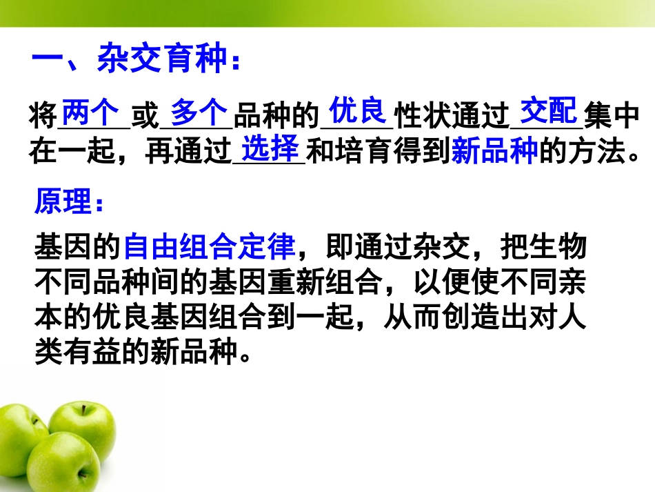 6.1《杂交育种与诱变育种》-课件-杨秋媚_第3页