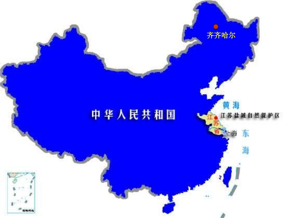 《美丽的丹顶鹤_第3页