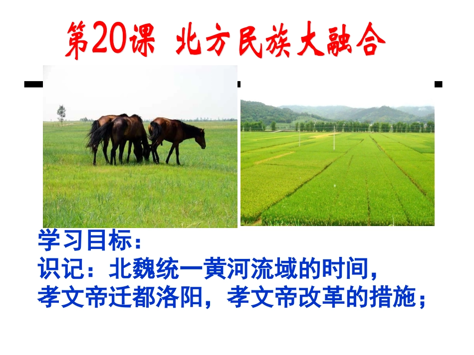 第20课北方民族的大融合教学课件ppt_第2页