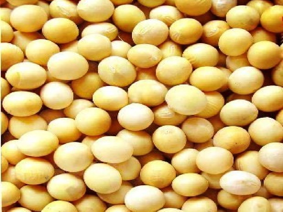 健康好吃的豆制品_第2页