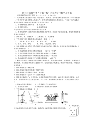 2016年合肥十校大联考中考化学试题及答案