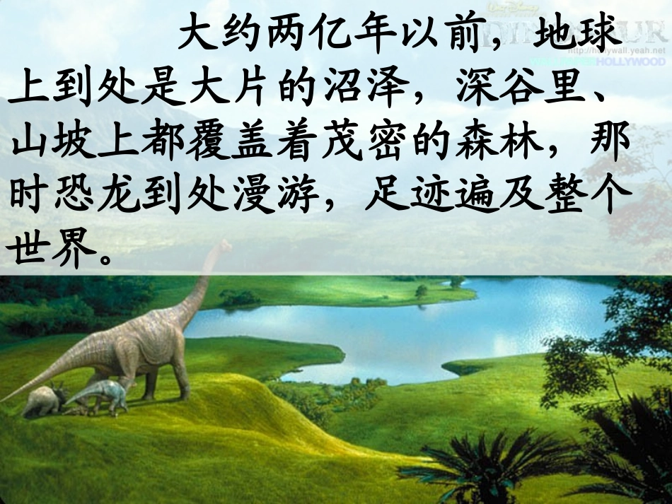 《恐龙》课件_第3页