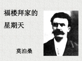 福楼拜家的星期天教学课件