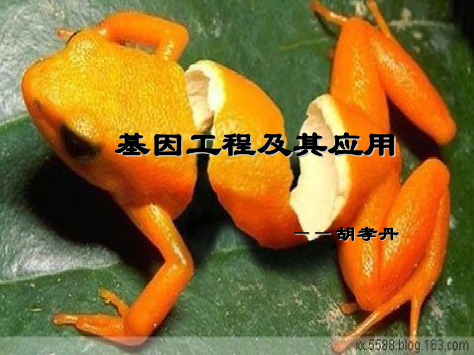 基因工程及其应用_第1页