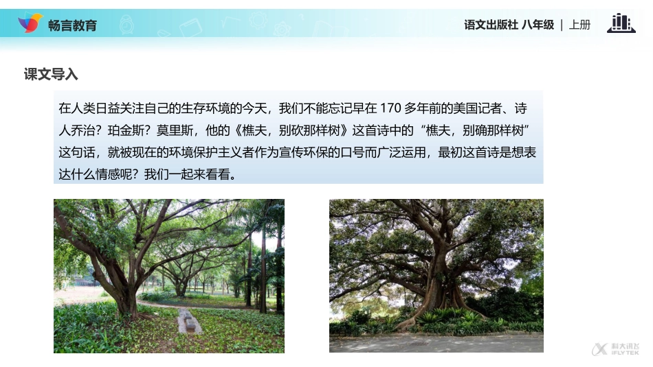 【教学课件】《樵夫-别砍那棵树》(语文版)_第2页