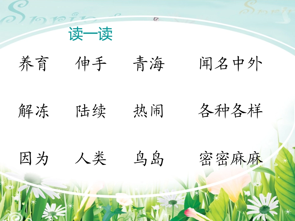 18、鸟岛课件_第2页