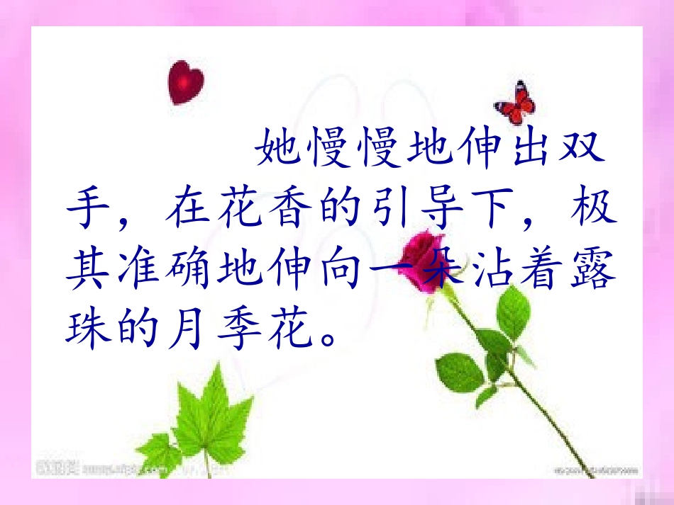 触摸春天课件（1）_第3页