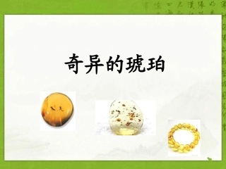 (语文S版)六年级语文上册课件奇异的琥珀1