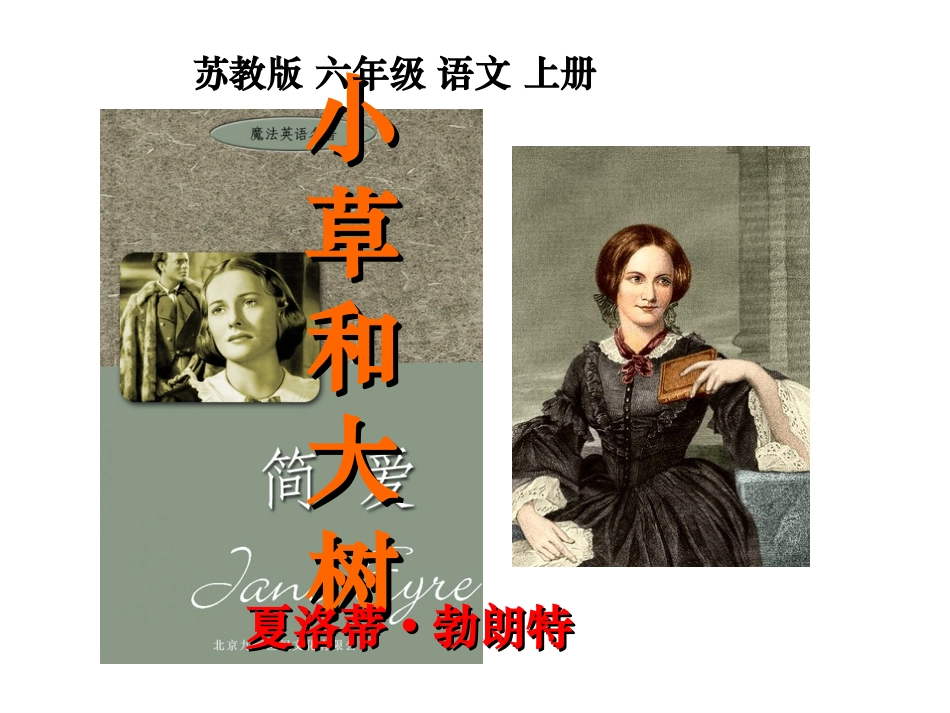 9、小草和大树修改_第1页