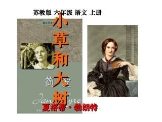 9、小草和大树修改