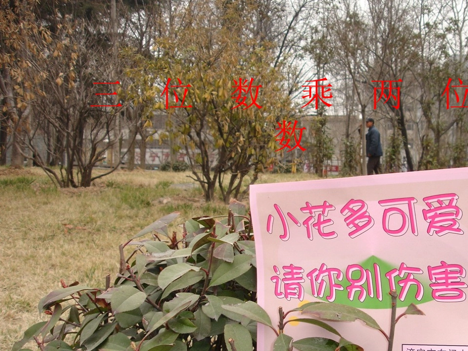 263三位数乘两位数_第1页