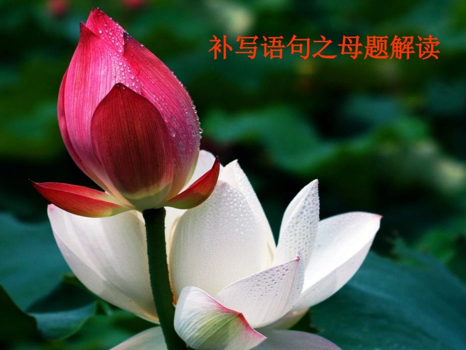 补写语句之母题解读_第1页