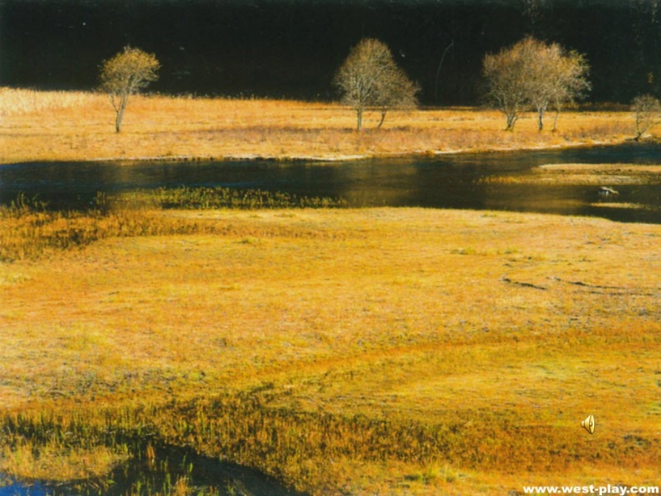 秋天的雨（）_第3页