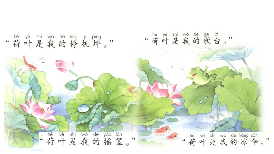 《荷叶圆圆》找一找_第2页